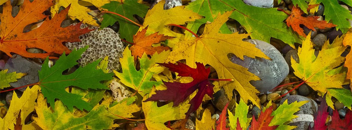 Vyrábíme s Beruškou: Podzimní lucernička