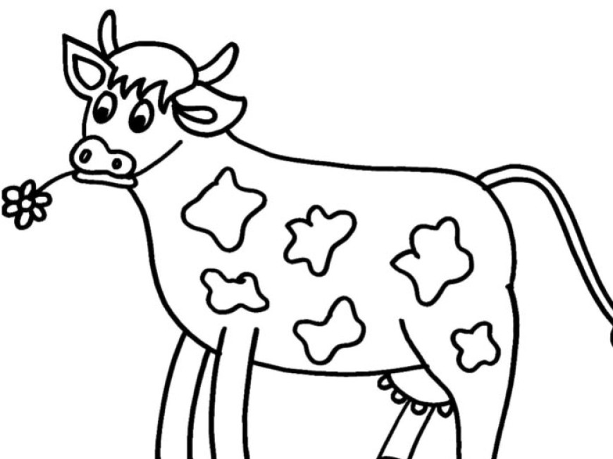 Omalovánka – kráva