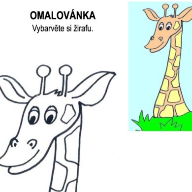 Omalovánka – žirafa