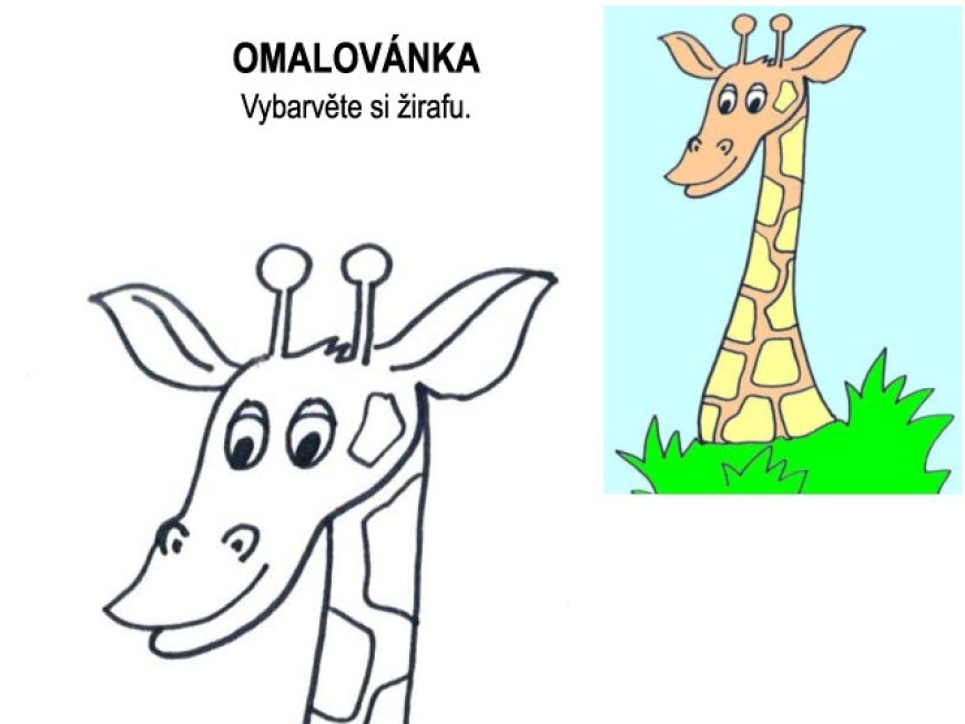 Omalovánka – žirafa
