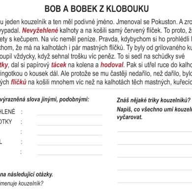 Čeština hrou: Bob a Bobek