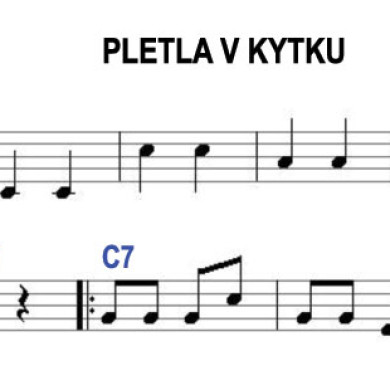 Písnička Pletla v kytku