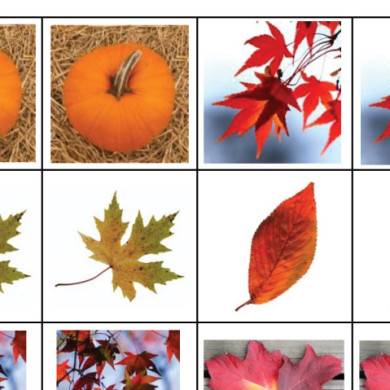 Podzimní fotopexeso (+ výzva pro naše čtenáře)