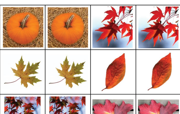 Podzimní fotopexeso (+ výzva pro naše čtenáře)