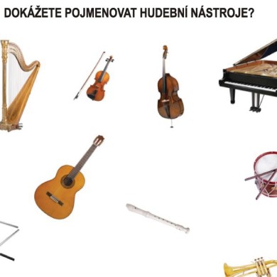 Poznáte hudební nástroje?