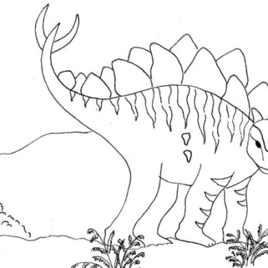 Deset rozdílů mezi dinosaury