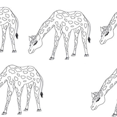 Která žirafa nemá druhou do dvojice?